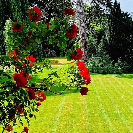 Bed & Breakfast Altes Forstamt Wennigsen